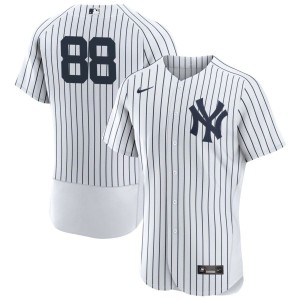 Austin Wells New York Yankees Nike Home Authentic Jersey - White