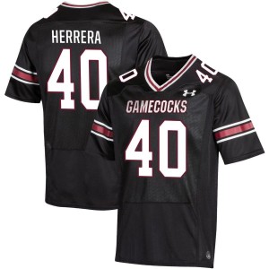 Alex Herrera South Carolina Gamecocks Under Armour NIL Replica Football Jersey - Black