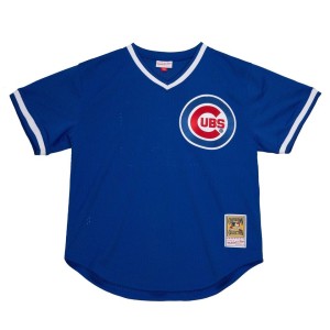 Authentic Ryne Sandberg Chicago Cubs 1984 Pullover Jersey