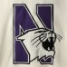 Northwestern Wildcats Colosseum 2.0 Lace-Up Pullover Hoodie - Cream