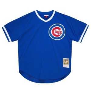 Authentic Andre Dawson Chicago Cubs 1987 Pullover Jersey