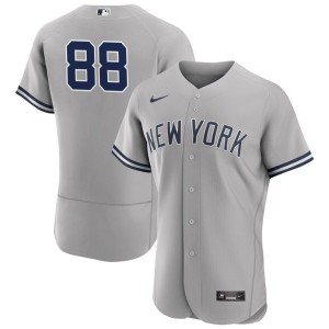 Austin Wells New York Yankees Nike Road Authentic Jersey - Gray