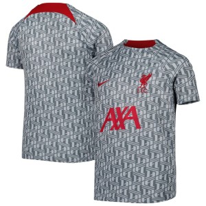 Liverpool Nike Youth Pre-Match Top - Gray