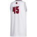 #45 Louisville Cardinals adidas Swingman Jersey - White