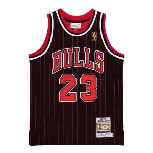 Authentic Jordan 2 Michael Jordan Chicago Bulls Jersey