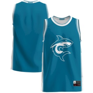Hawaii Pacific Sharks Basketball Jersey - Teal