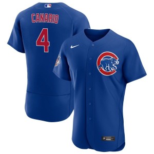 Alexander Canario Chicago Cubs Nike Alternate Authentic Jersey - Royal