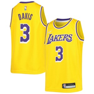 Anthony Davis Los Angeles Lakers Nike Youth 2021/22 Diamond Swingman Jersey - Icon Edition - Gold