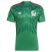 Mexico National Team adidas 2022/23 Home Blank Replica Jersey - Green