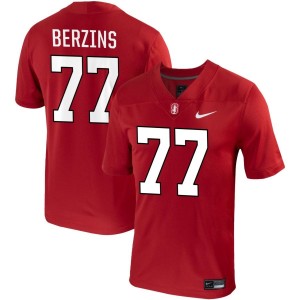 Logan Berzins Stanford Cardinal Nike NIL Replica Football Jersey - Cardinal