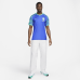 Brazil 2023 Stadium Away Men's Nike Dri-FIT Soccer Jersey - Paramount Blue/Green Spark/Green Spark